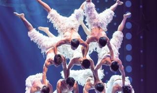 珠海马戏节 珠海马戏节