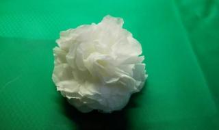 小白花的制作 小白花的制作