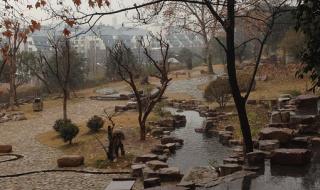 芳草萋萋鹦鹉洲全诗